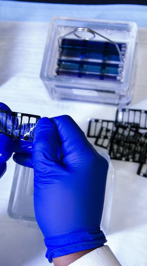 Supportiamo la nascita di nuove aziende nel settore delle Scienze della Vita